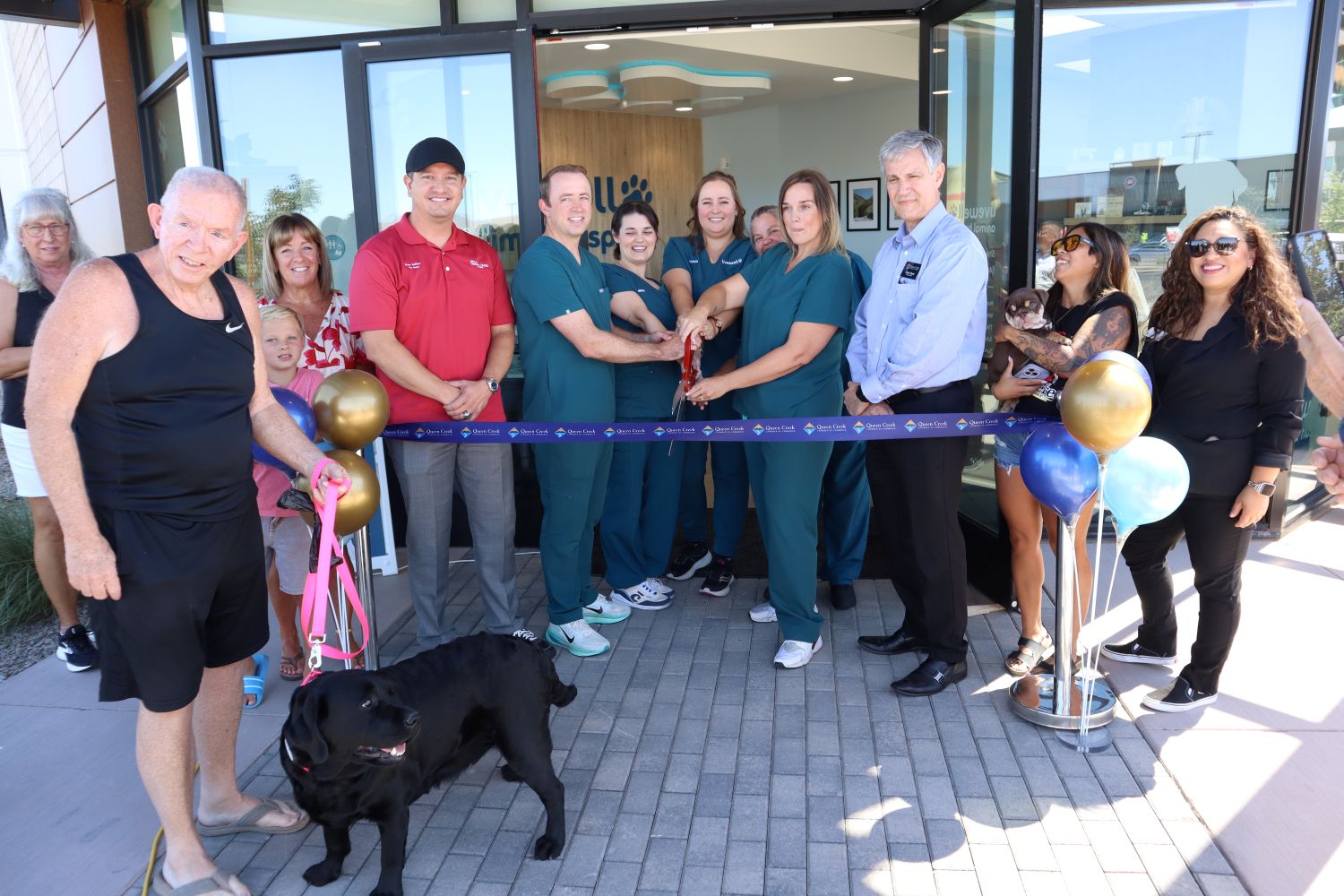 Livewell Animal Hospital Brings Comprehensive Veterinary Care, Comfort-Focused Design, and Flexible Walk-In Services to Queen Creek